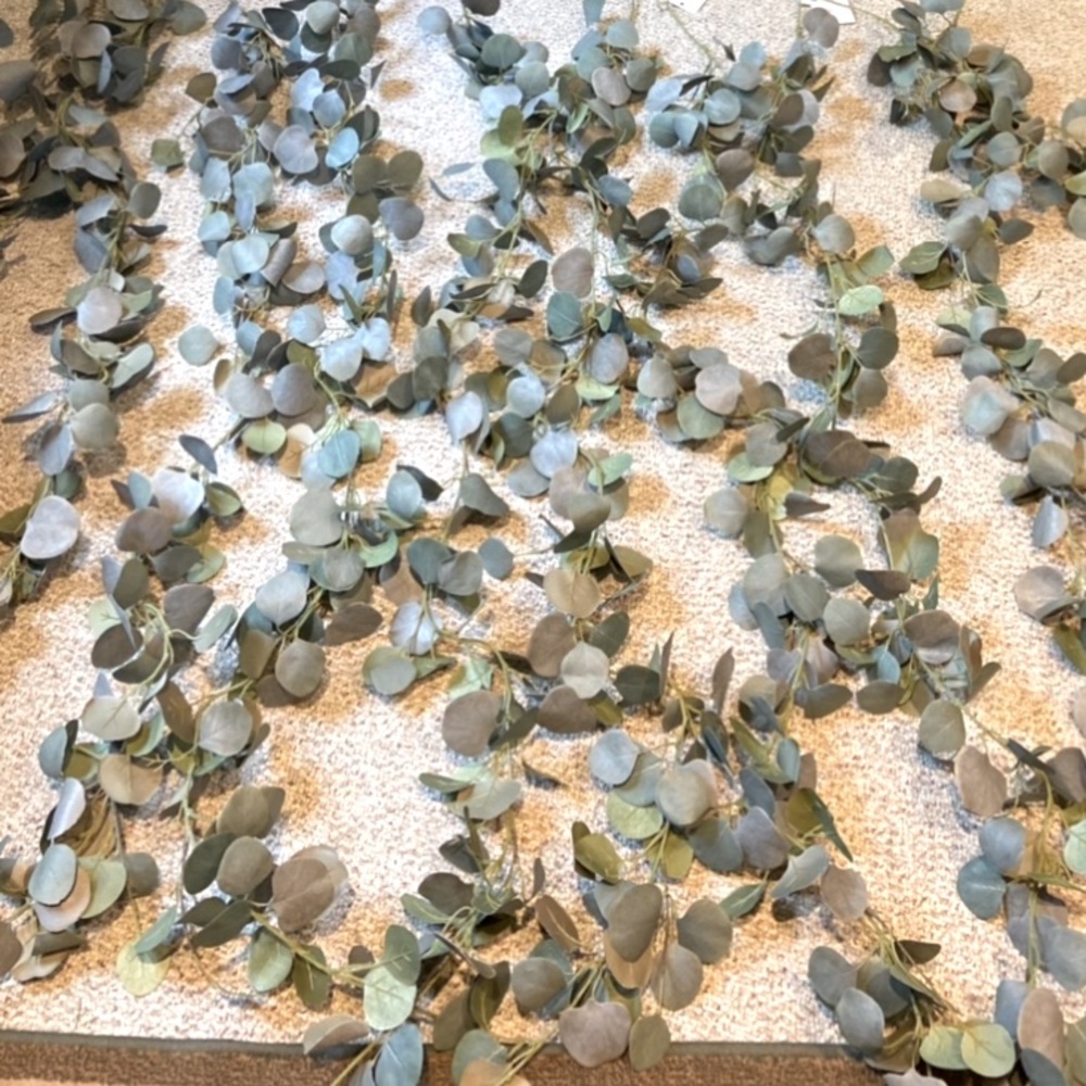 20 Eucalyptus vines used once for a wedding. Purchased for $400 July 2022.